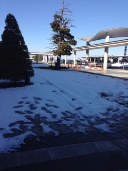 旭川空港から